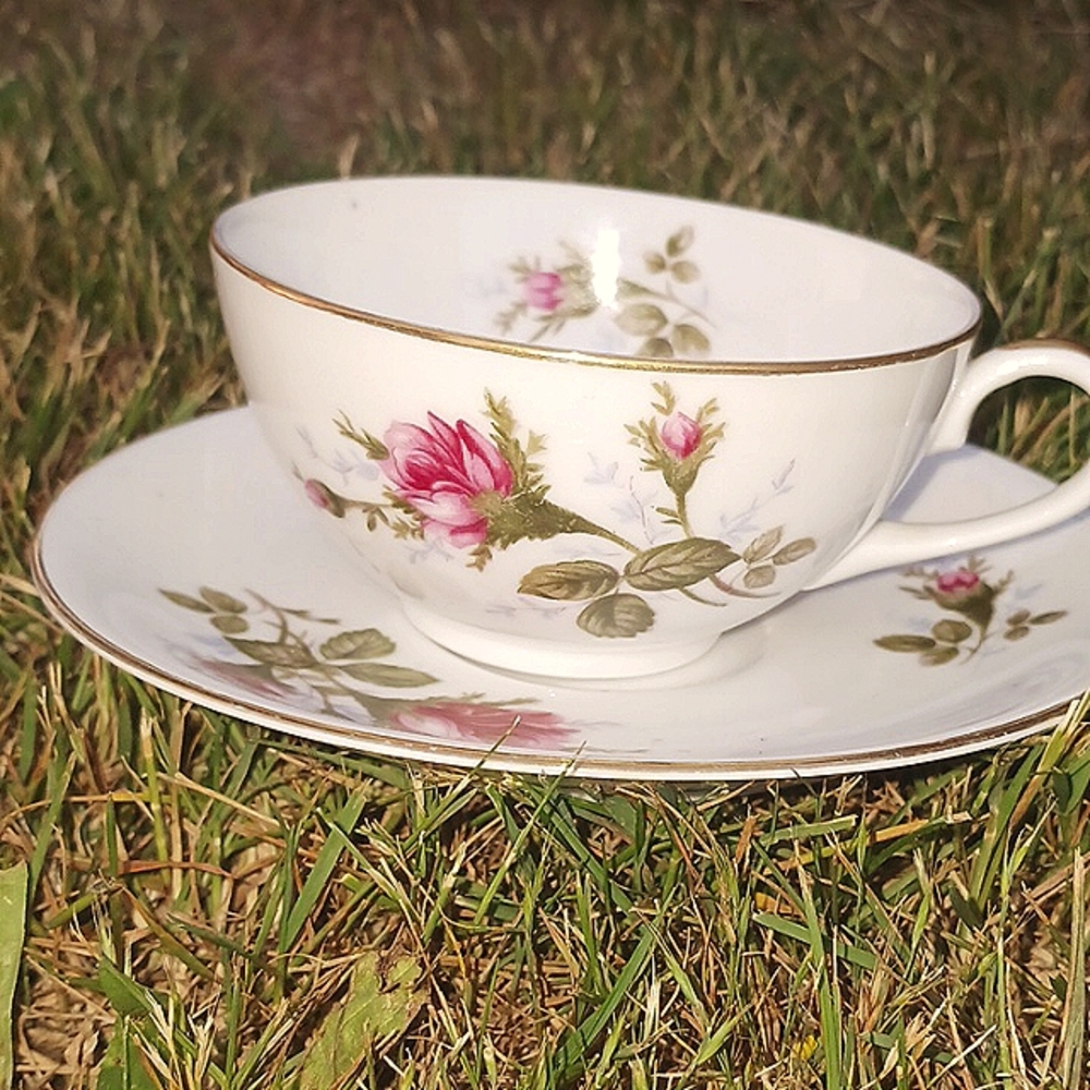 Moss rose by sango